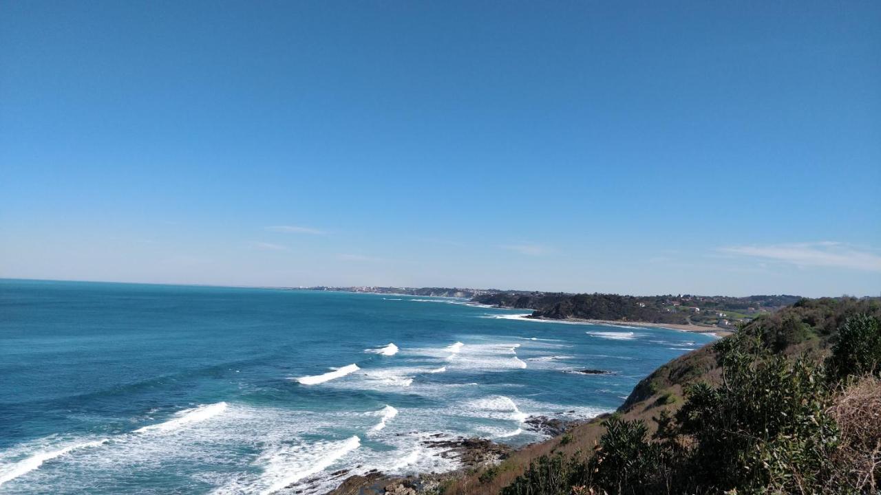 T1 Ou T2 Dans Villa Avec Jardin Proche Biarritz Ανγκλέ Εξωτερικό φωτογραφία