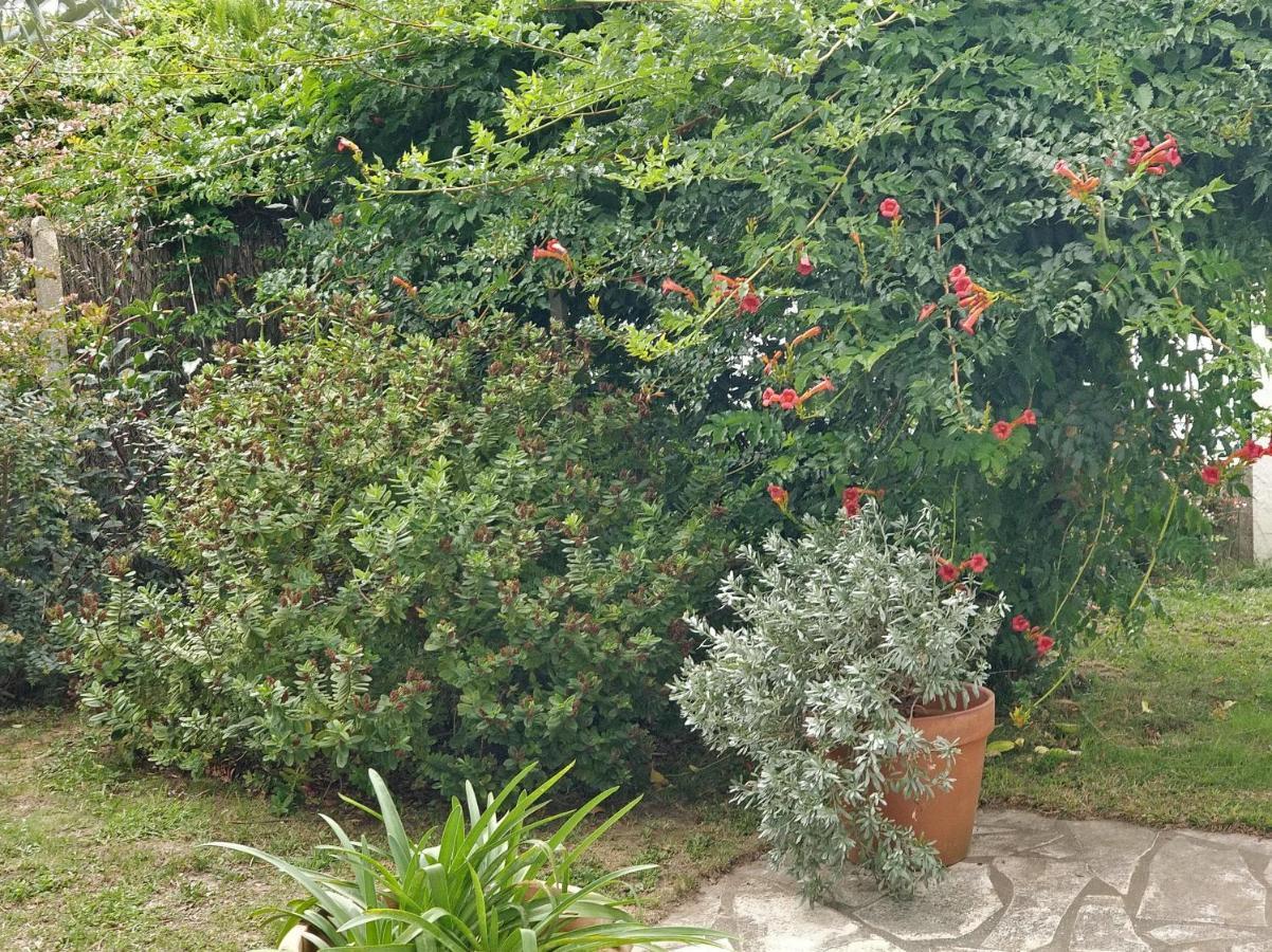 T1 Ou T2 Dans Villa Avec Jardin Proche Biarritz Ανγκλέ Εξωτερικό φωτογραφία