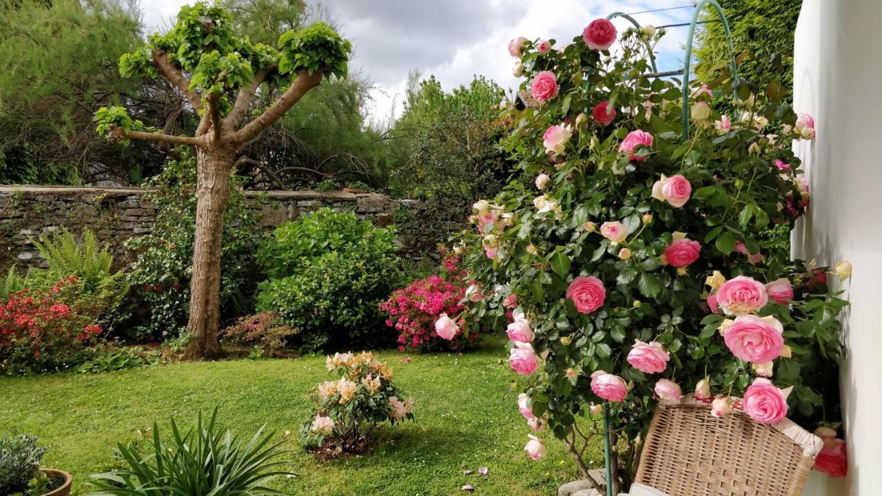 T1 Ou T2 Dans Villa Avec Jardin Proche Biarritz Ανγκλέ Εξωτερικό φωτογραφία